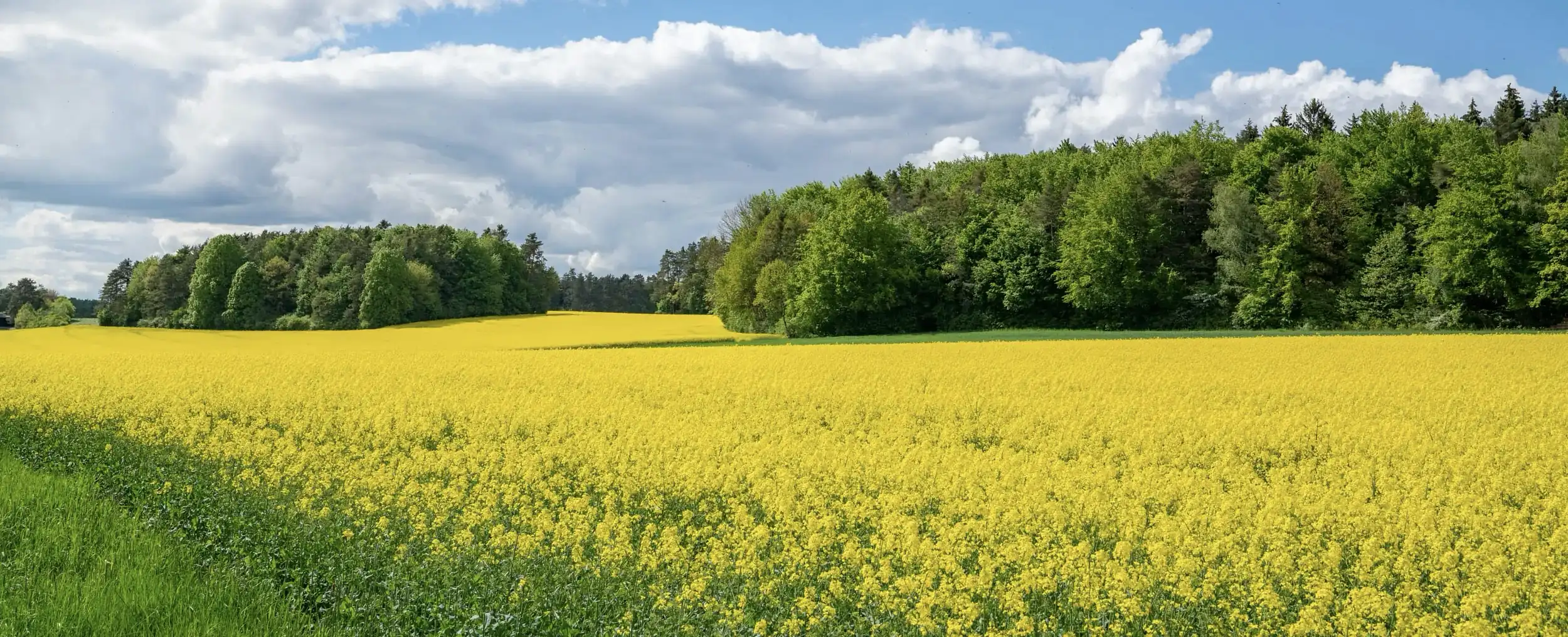 Kulturförderung