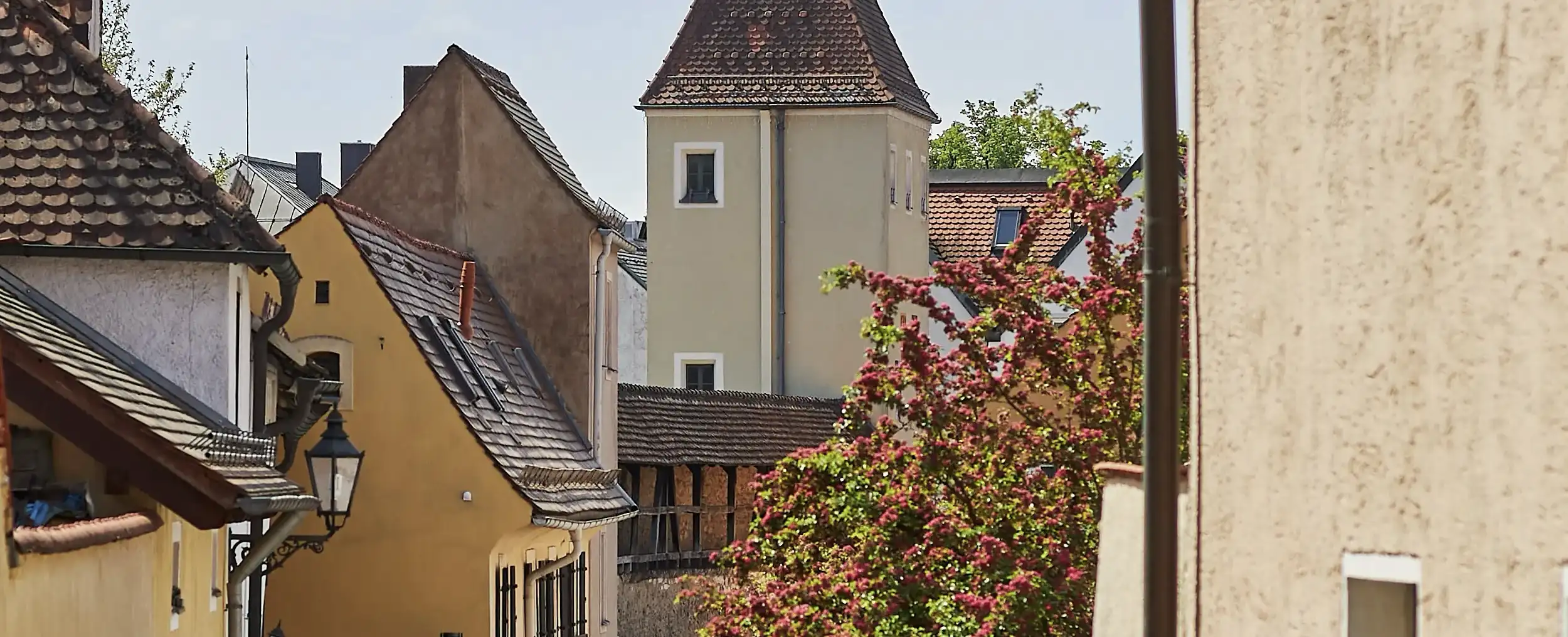 Stiftungen