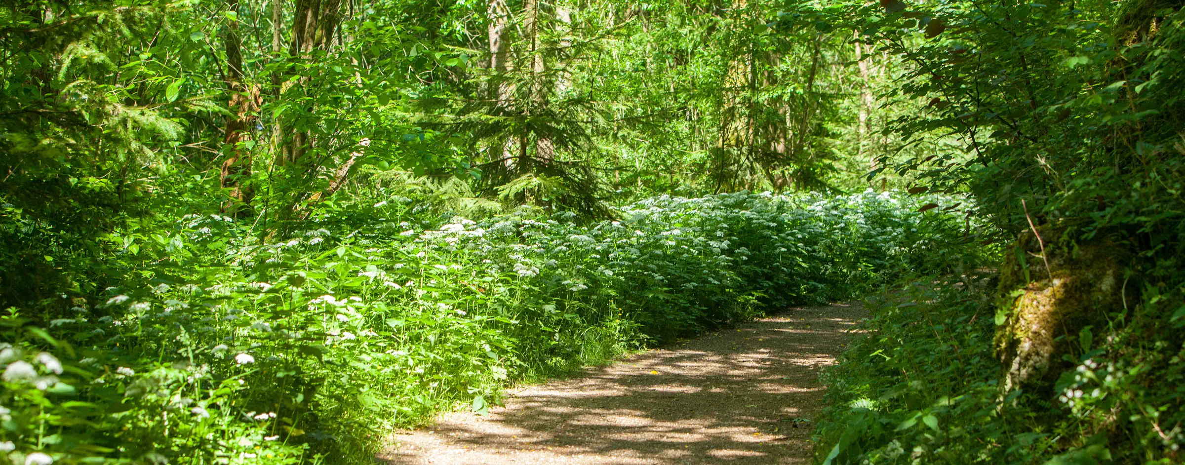 Frühförderung in Sulzbach-Rosenberg