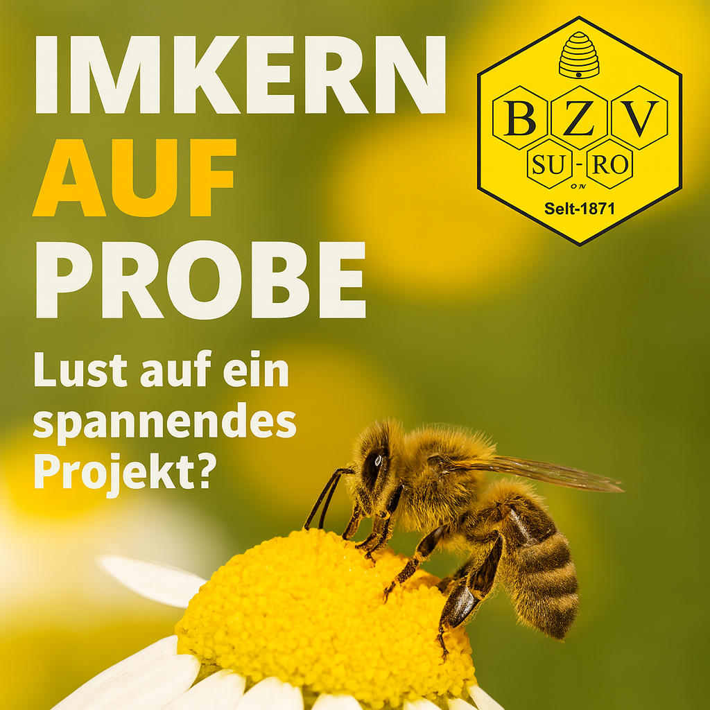 1. Probeimker Unterricht 2026: Die Biologie der Honigbiene und 1×1 der Imkerei